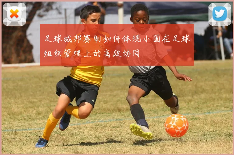 足球城邦赛制如何体现小国在足球组织管理上的高效协同