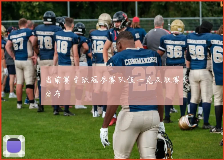 当前赛季欧冠参赛队伍一览及联赛分布