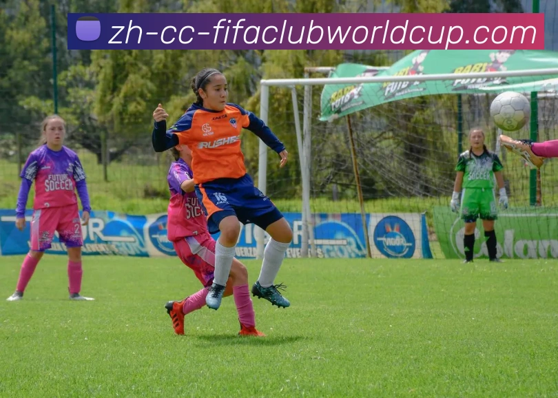 世界杯赛程平台生态图